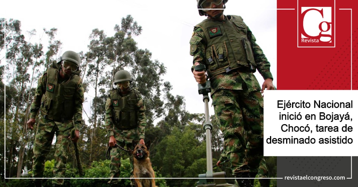 El Ejército Nacional inició en Bojayá, Chocó, tarea de desminado asistido