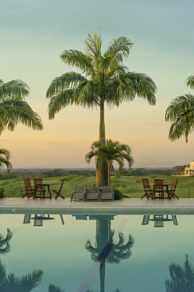 Palmera — Wyndham Garden Villavicencio, 2012 — © Hoteles Diplomat — Fotografía de hoteles 360: Mario Carvajal (www.mariocarvajal.com) - Alejandro Carvajal (www.astrolabio.com.co)